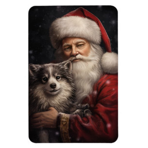 Íman Malamute do Alasca com Natal do Papai Noel