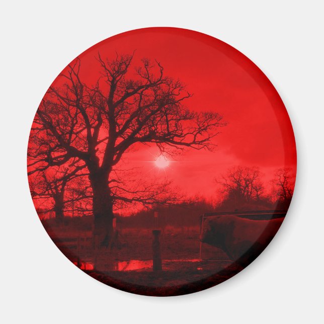 ÍMAN MALAS (Frente)