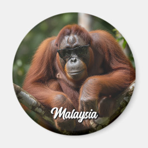 Íman Malásia Orangutan com óculos de sol