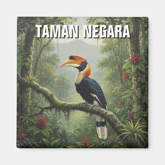 Íman Malásia Taman Negara Hornbill (Frente)