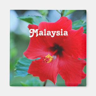 Íman Malaysia
