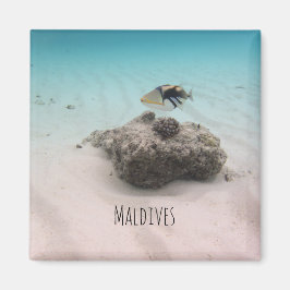 Íman Maldivas White Sand Lagoon Coral Fish Souvenir