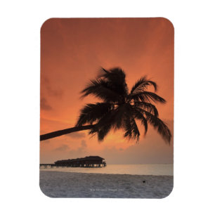 Íman Maldives, atol de Meemu, ilha de Medhufushi,