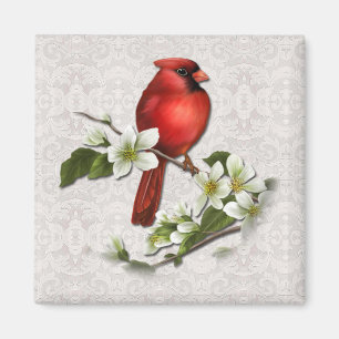 Íman Male Cardinal em Dogwood Magnet