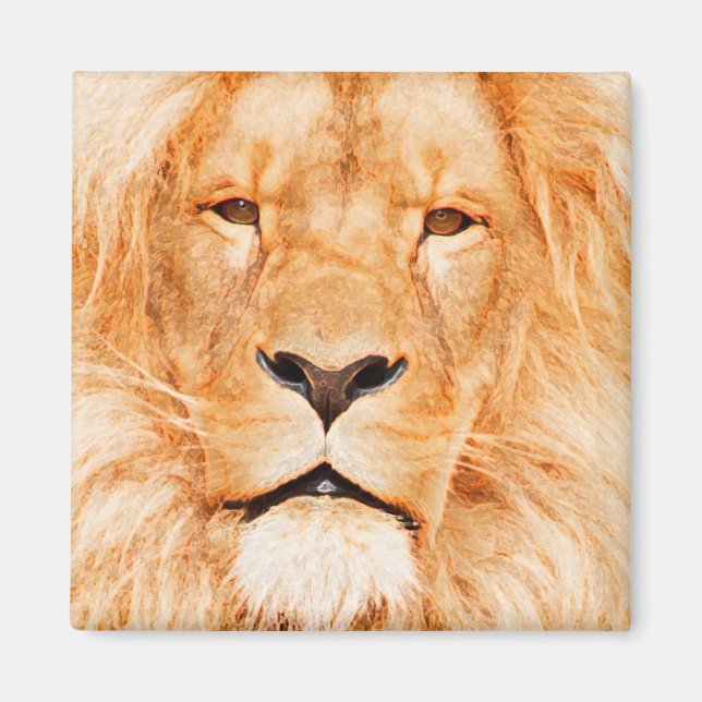 ÍMAN MALE LION (Frente)