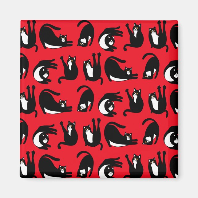 Íman Malhação de Gato Negro Engraçado (Frente)