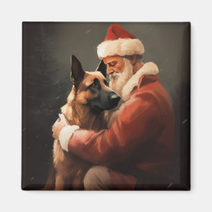 Íman Malinoi Belga Com Natal Festivo do Papai Noel