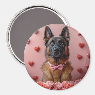 Íman Malinois Belga com Rosas - Dia dos Namorados