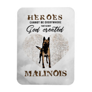 Íman Malinois - pastor belga - Mechelaar - Maligator