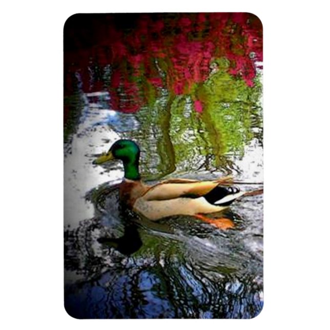 Íman Mallard Duck (Vertical)