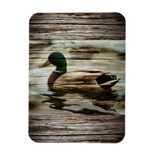 Íman Mallard Duck