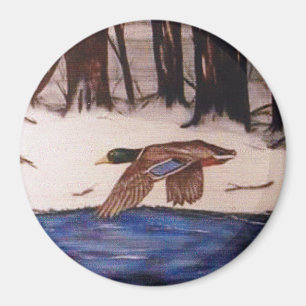 Íman Mallard Duck em uma missão