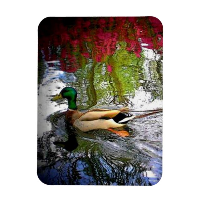 Íman Mallard duck Magnet-Design 2 (Vertical)