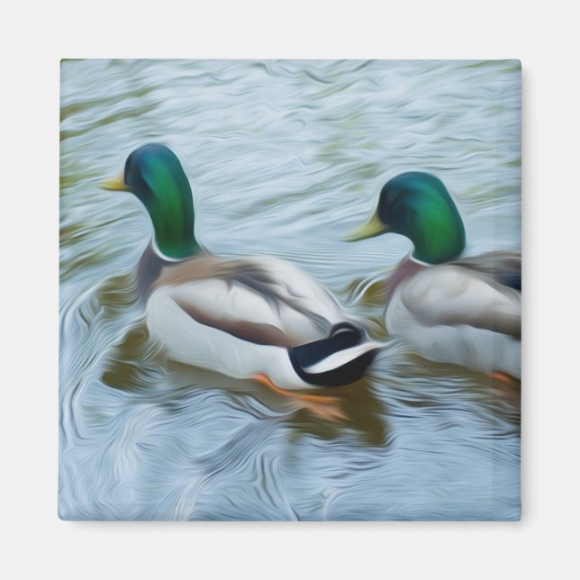 Íman Mallard Ducks (Frente)