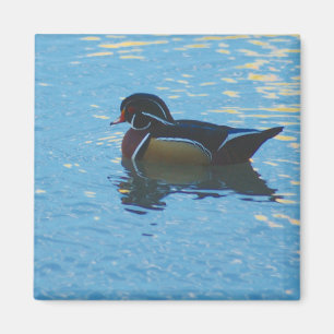 Íman Mallard Magnet