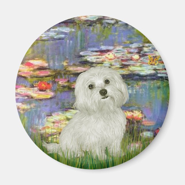 Íman Maltês 11 - Lírios 2 (Frente)