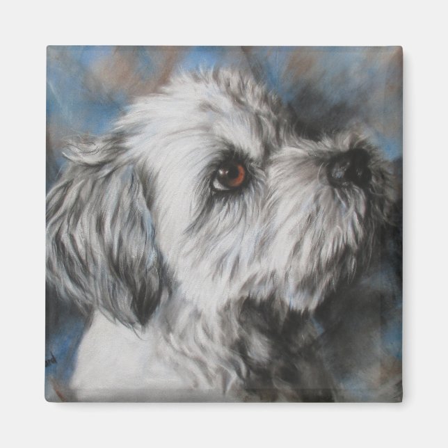 Íman Maltês branco/Shih Tzu fluffy dog (Frente)