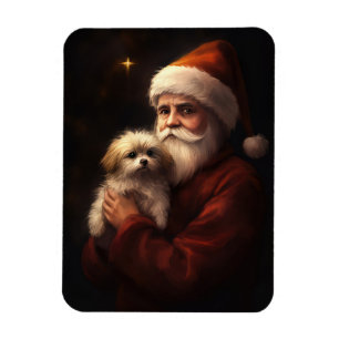Íman Maltês Com Natal Festivo do Papai Noel