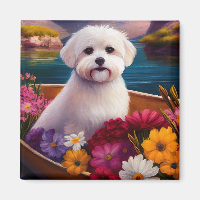 Íman Maltês em um remo: Uma aventura cênica (Frente)