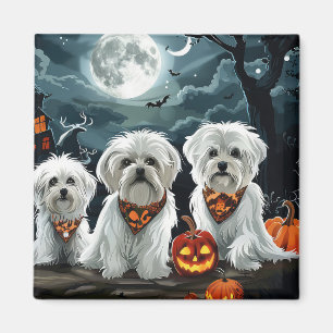 Íman Maltês Halloween Spooky