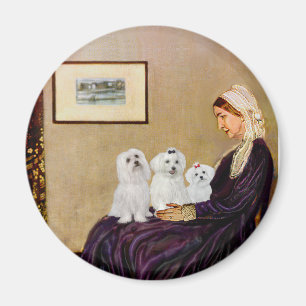 Íman Maltês (três) - Mãe de Whistler