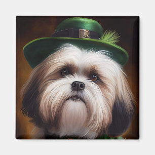 Íman Malti Tzu Cachorro na Rua.
