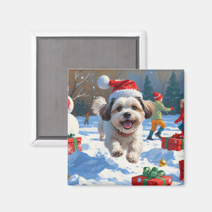 Íman Malti Tzu Correndo na Neve com Chapéu de Natal