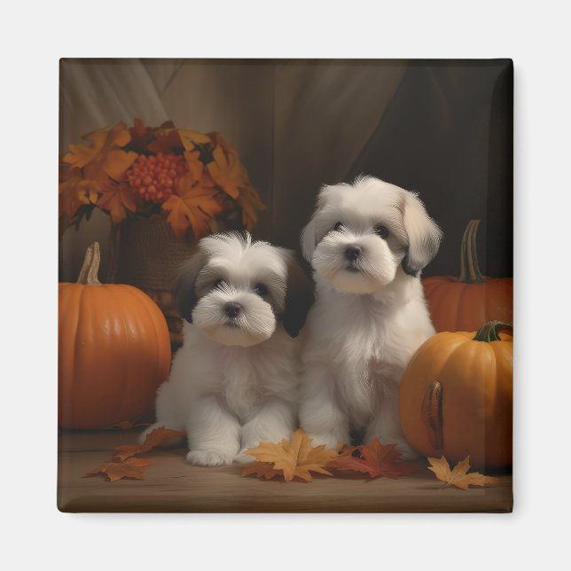 Íman Malti tzu Puppy Autumn Delight Pumpkin (Frente)