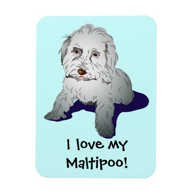 Íman Maltipoo Cute Puppy (Vertical)