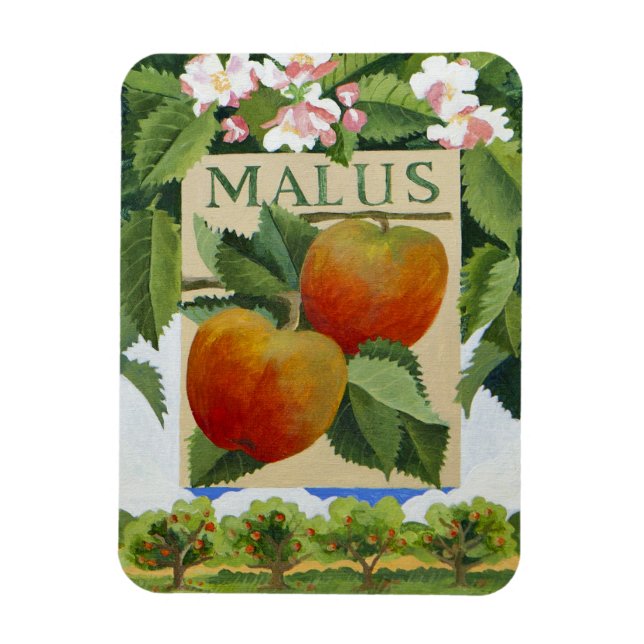 Íman Malus (Vertical)