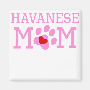 Íman Mamã de Havanese