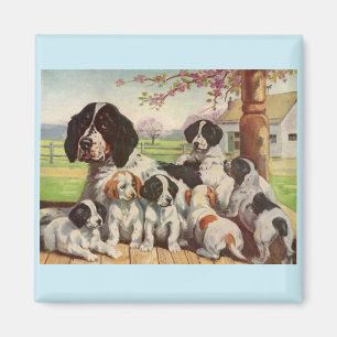 Íman mamã e filhotes de cachorro do spaniel de springe