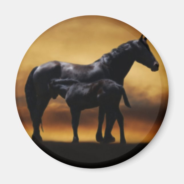 Íman Mamãe e Baby Colt (Frente)