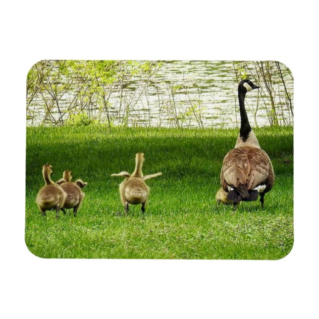 Íman Mamãe Goose e Goofy Baby (Horizontal)