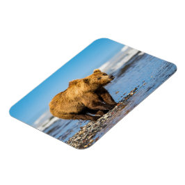 Íman Mamãe urso observando seus dois filhos