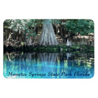 Manatear Primaveras Fl Flexi Magnet