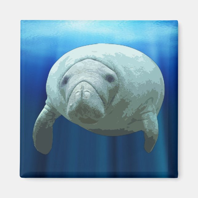Íman Manatee Magnet (Frente)