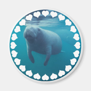 Íman Manatee Magnet