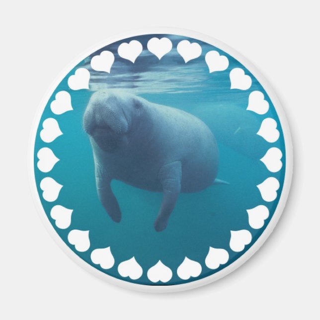 Íman Manatee Magnet (Frente)