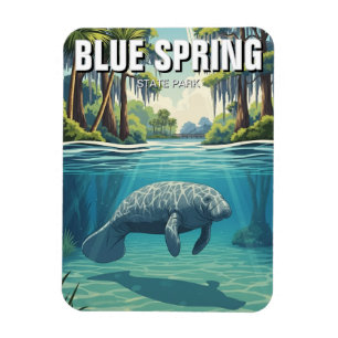 Íman Manatim no Blue Spring State Park