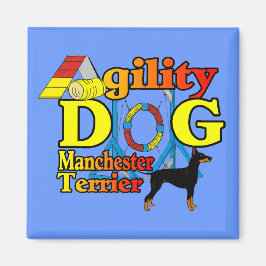 Íman Manchester_Terrier_Agilidade