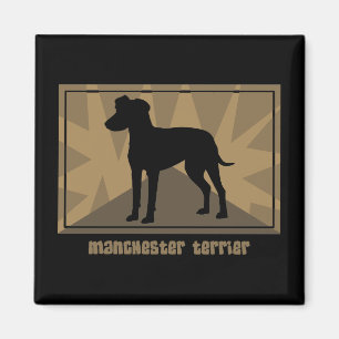 Íman Manchester Terrier da terra