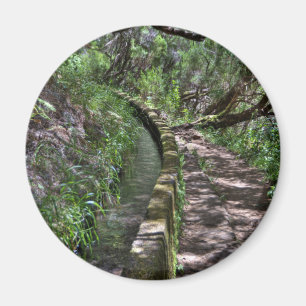 Íman Maneira de estrada de Madeira