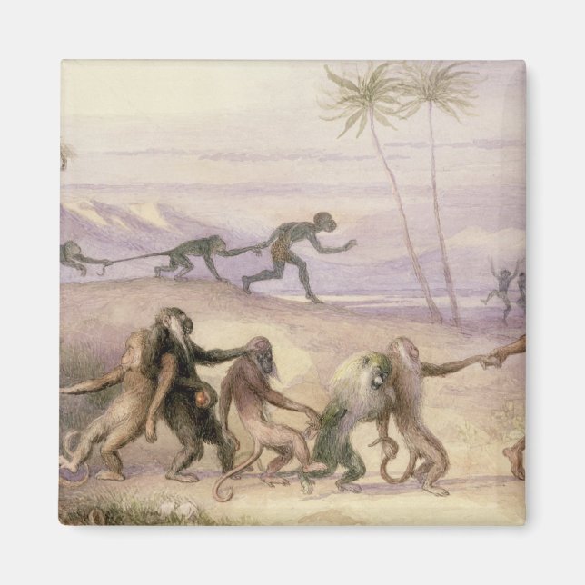 Íman Maneiras e Alfândegas dos Macacos (Frente)