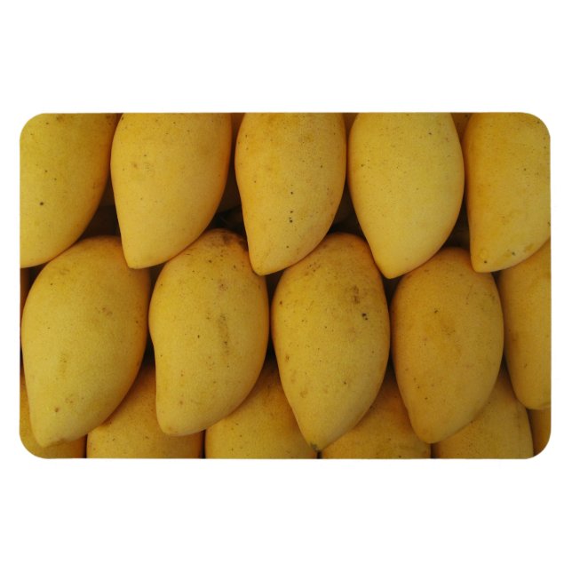 Íman Mango (Horizontal)