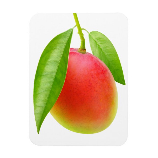 Íman Mango (Vertical)