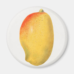 Íman Mango
