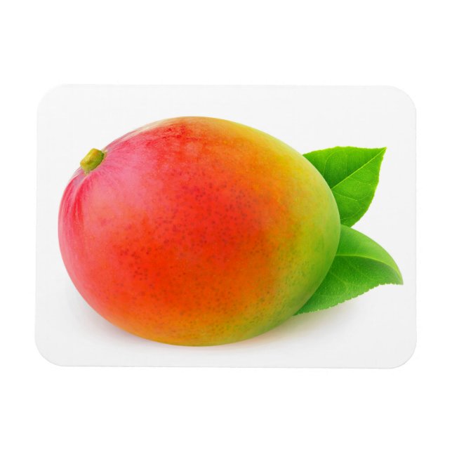 Íman Mango (Horizontal)