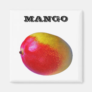 Íman Mango - (Praça da Imã de geladeira)