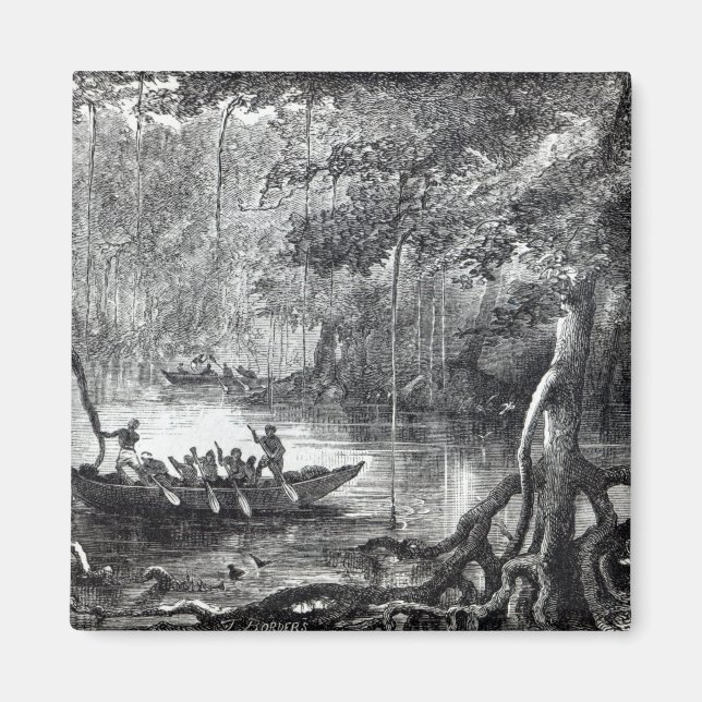 Íman Mangrove Forest'' (Frente)